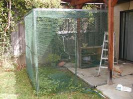 Cat enclosure made of green plastic fencing on a metal frame