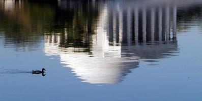 Jefferson Memorial reflected, with duck in water