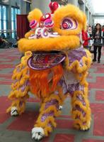 Chinese lion dancers in yellow costume (front view)