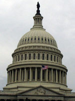 [Capitol Dome]