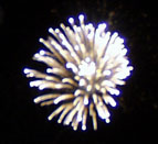 fireworks 6